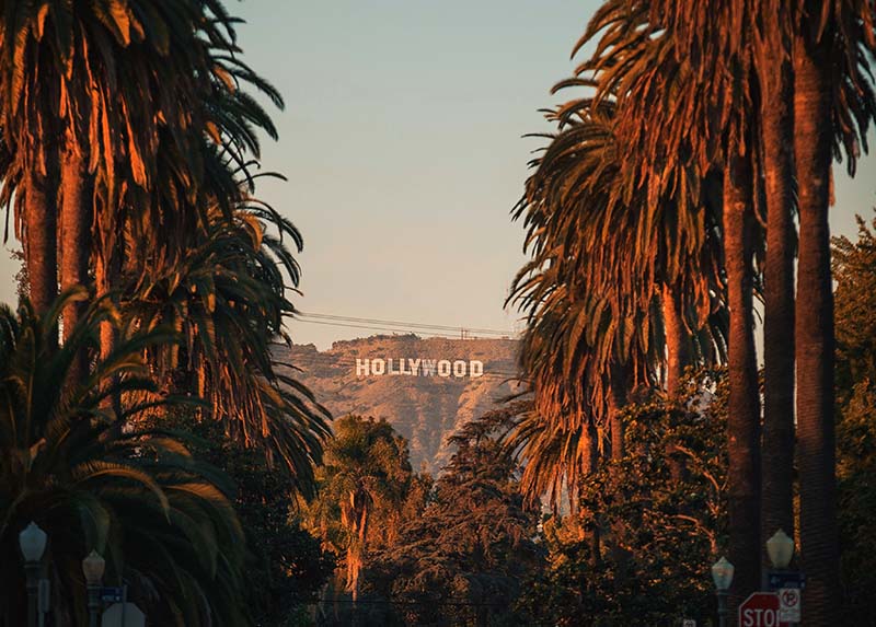 The Hollywood Apartments